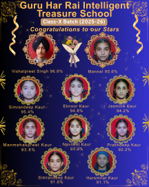 Click here to Enlarge